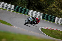 Middle Group Silver/Grey Bikes